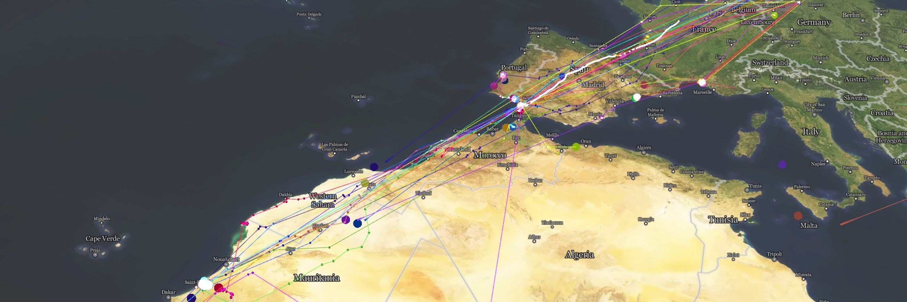 Global Flyway Network