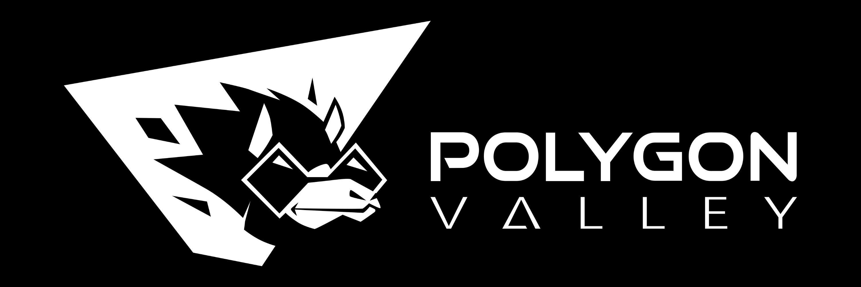 Polygon Valley