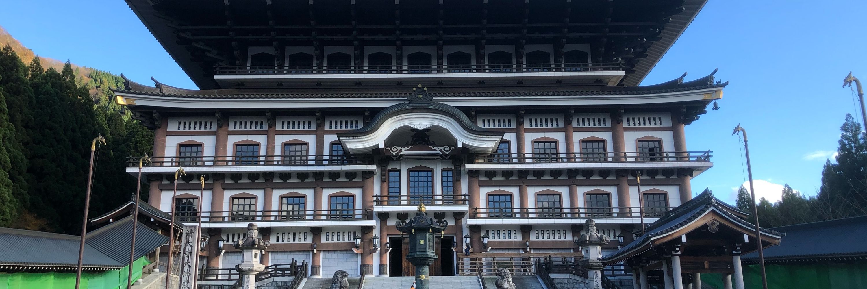 スケシラス