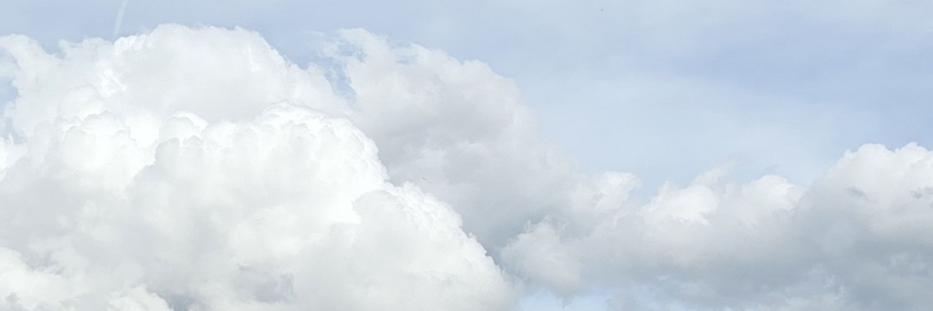 ☁️(뜬구름/Floating Cloud/浮雲/ウキグモ)