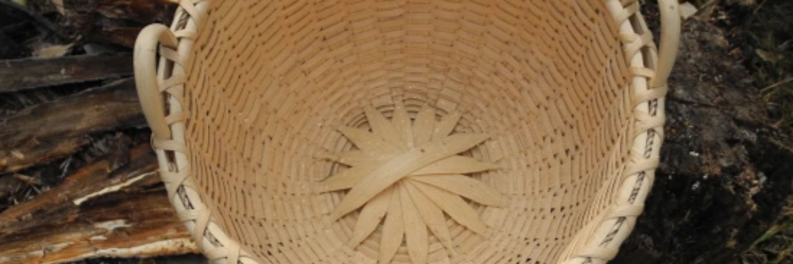 Cailís