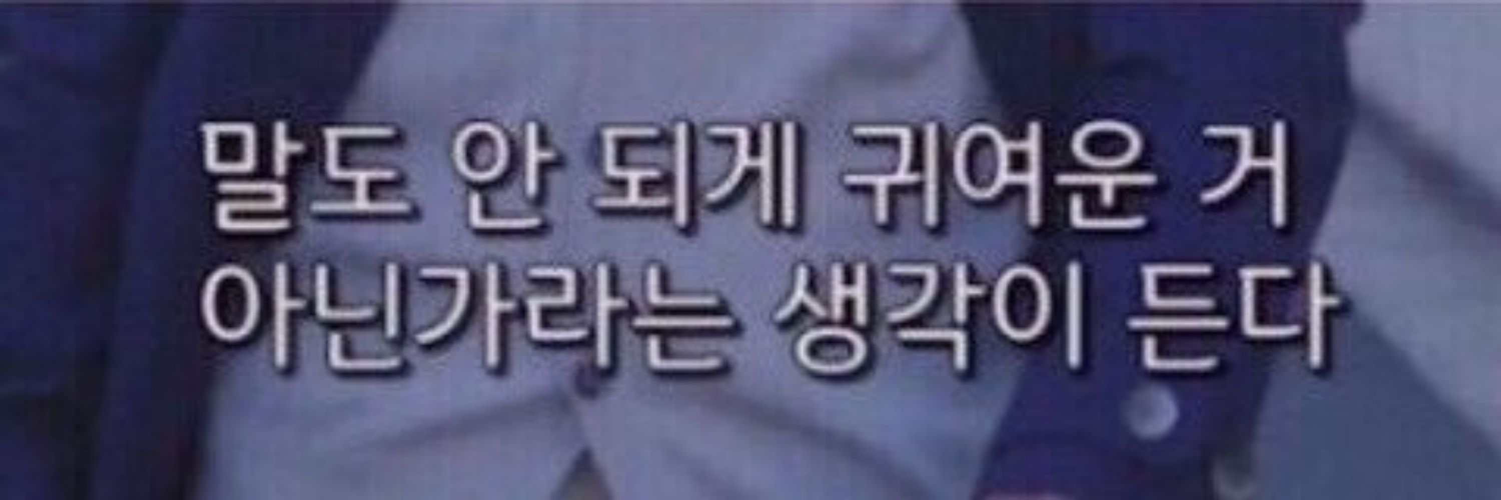 토용