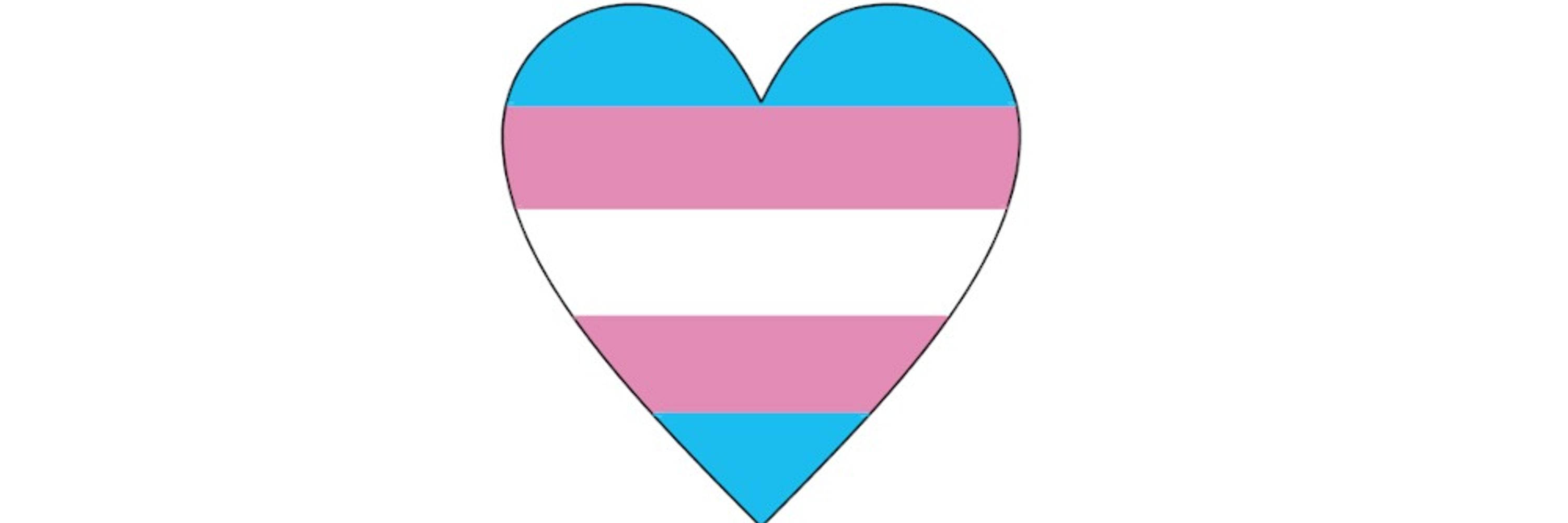 Protect Trans Kids University