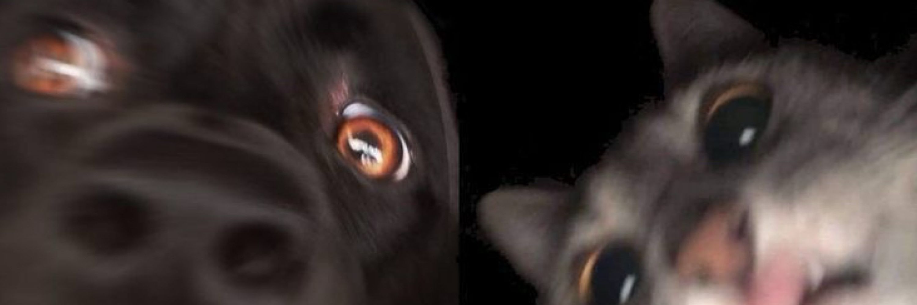 TH