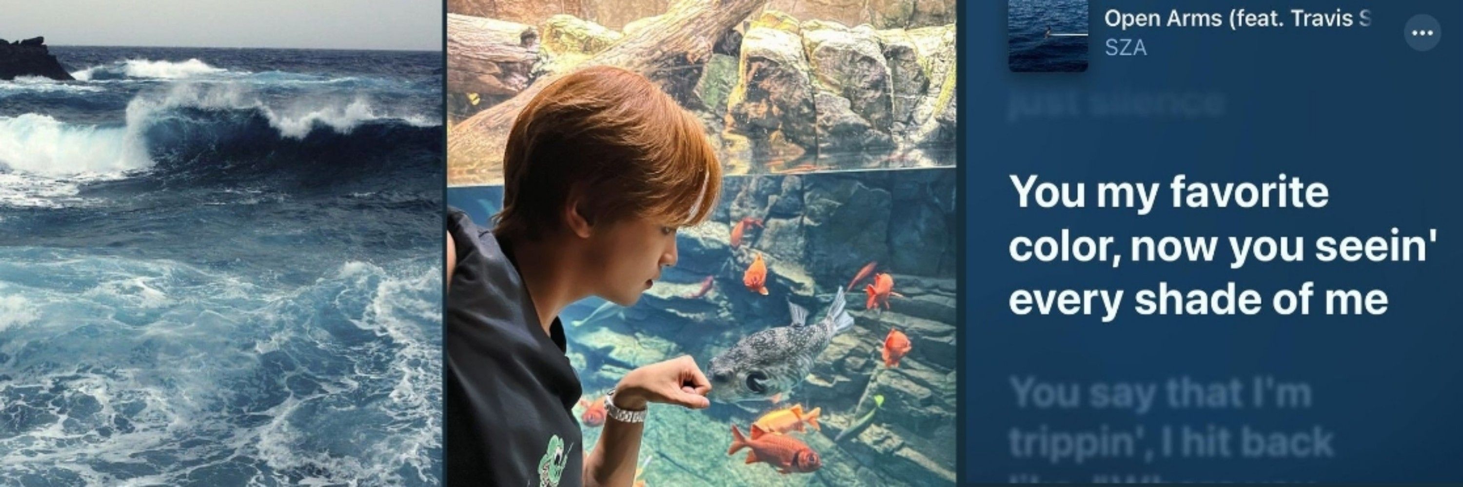 Moon do haechan 