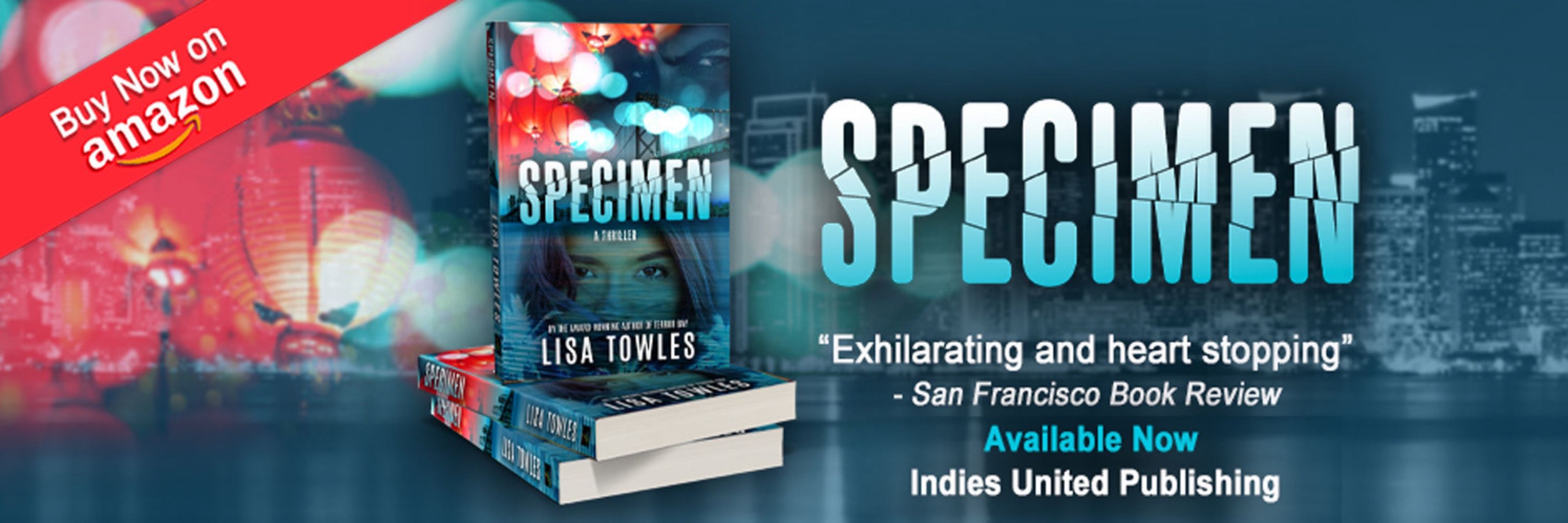 Author Lisa Towles