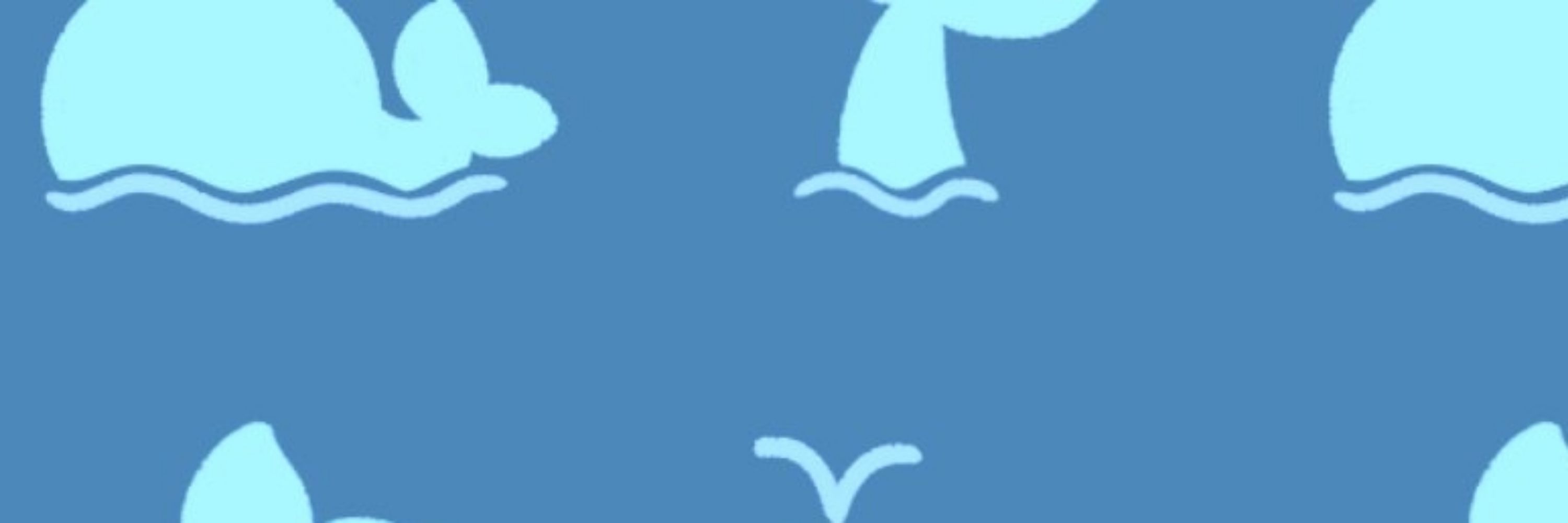 하늘고래🐳💙🤍