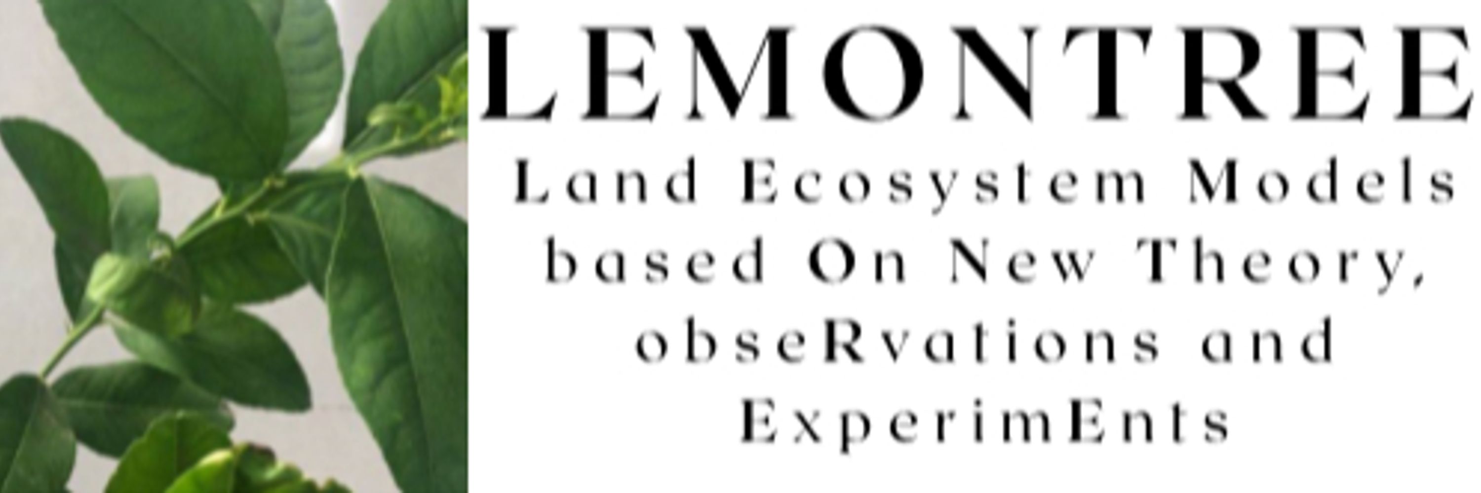 LEMONTREE