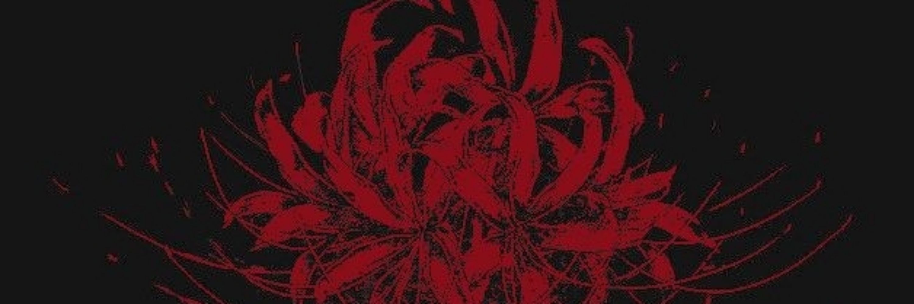 Mr.SpiderLily