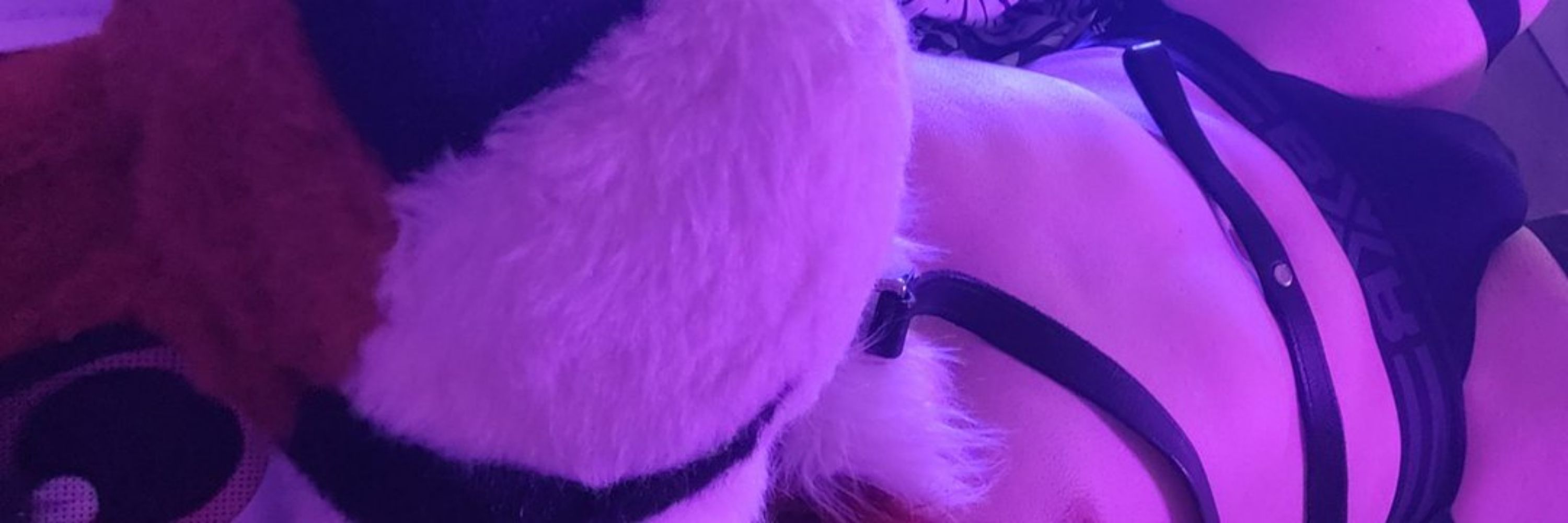 Korinn the kinky fox 🦊