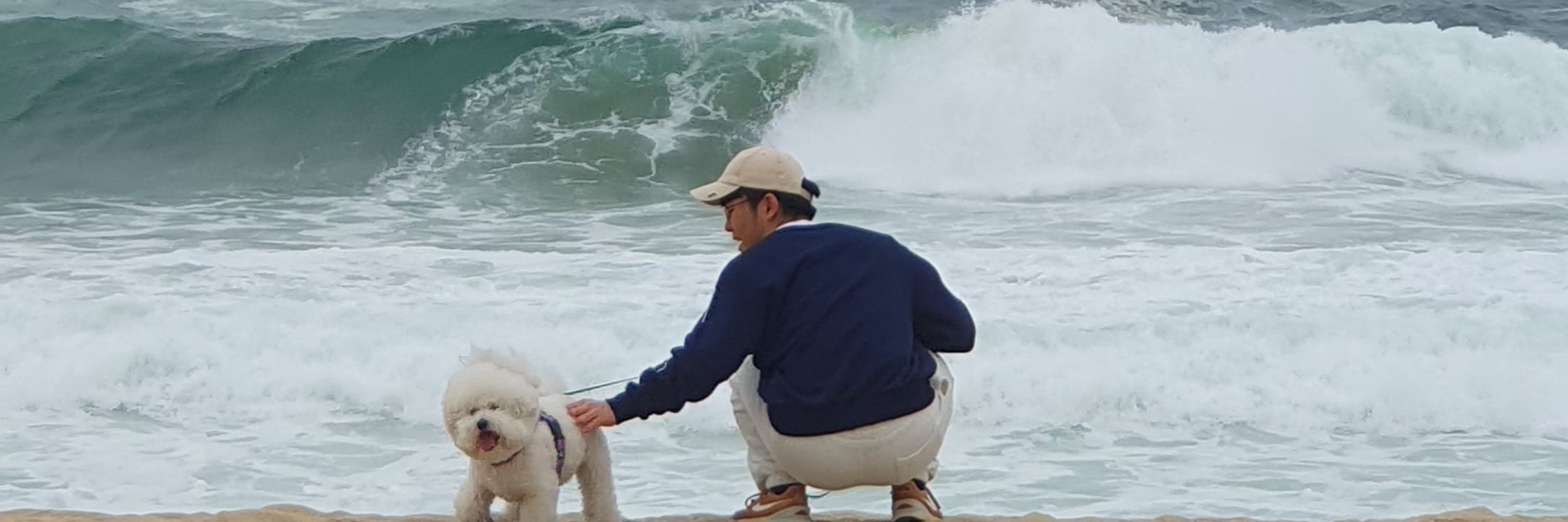 구름이네