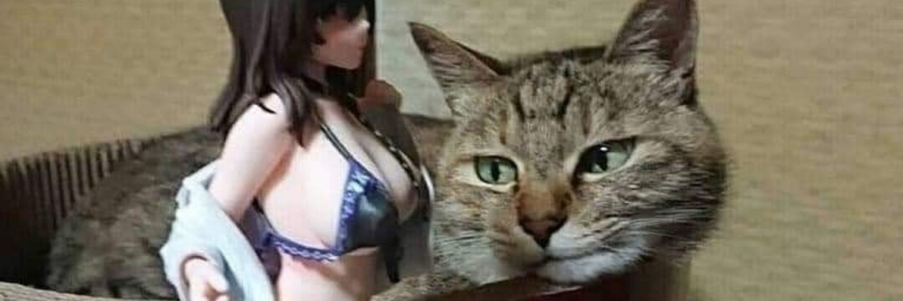 𝔳𝔞𝔫𝔦𝔩𝔩𝔞𝔰𝔲𝔠𝔠𝔲𝔟𝔬𝔦 