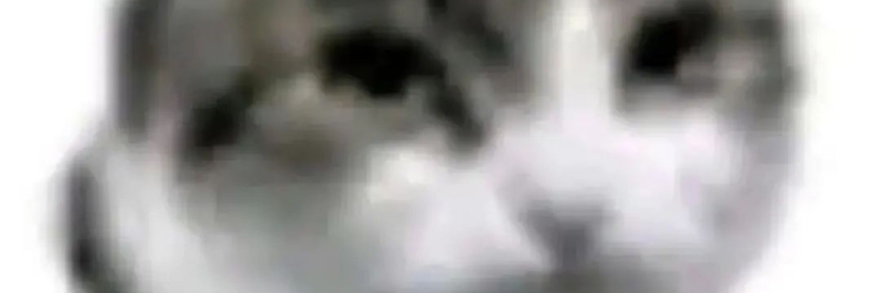D. S.
