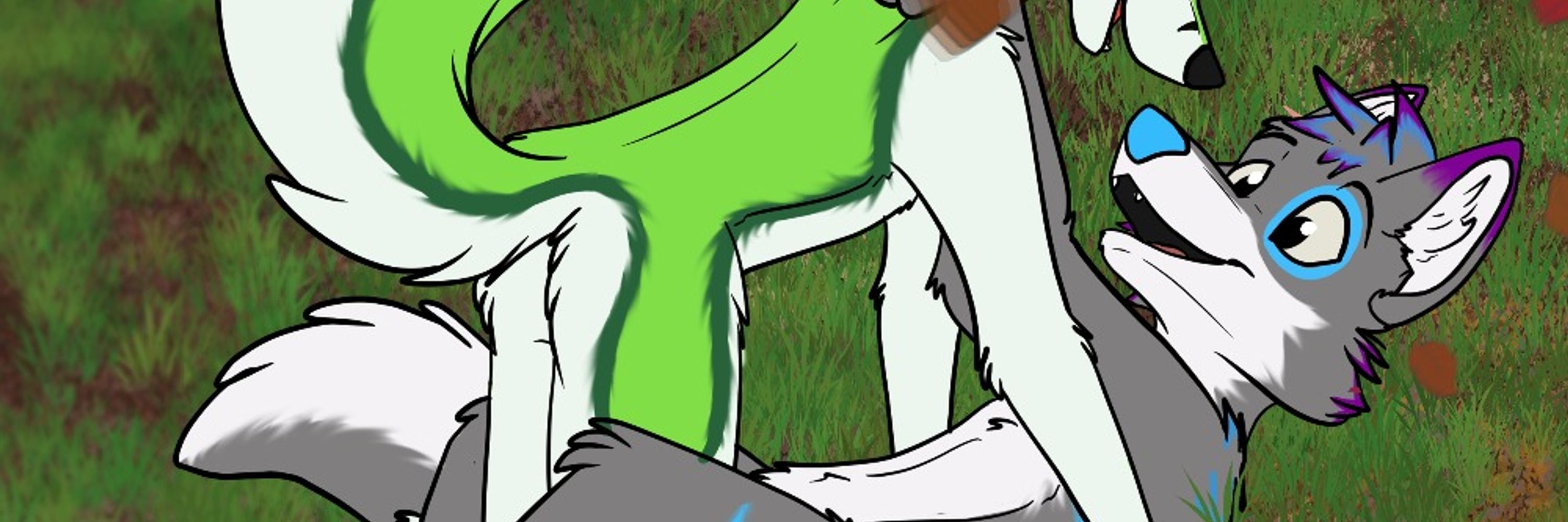 FidgetFox 