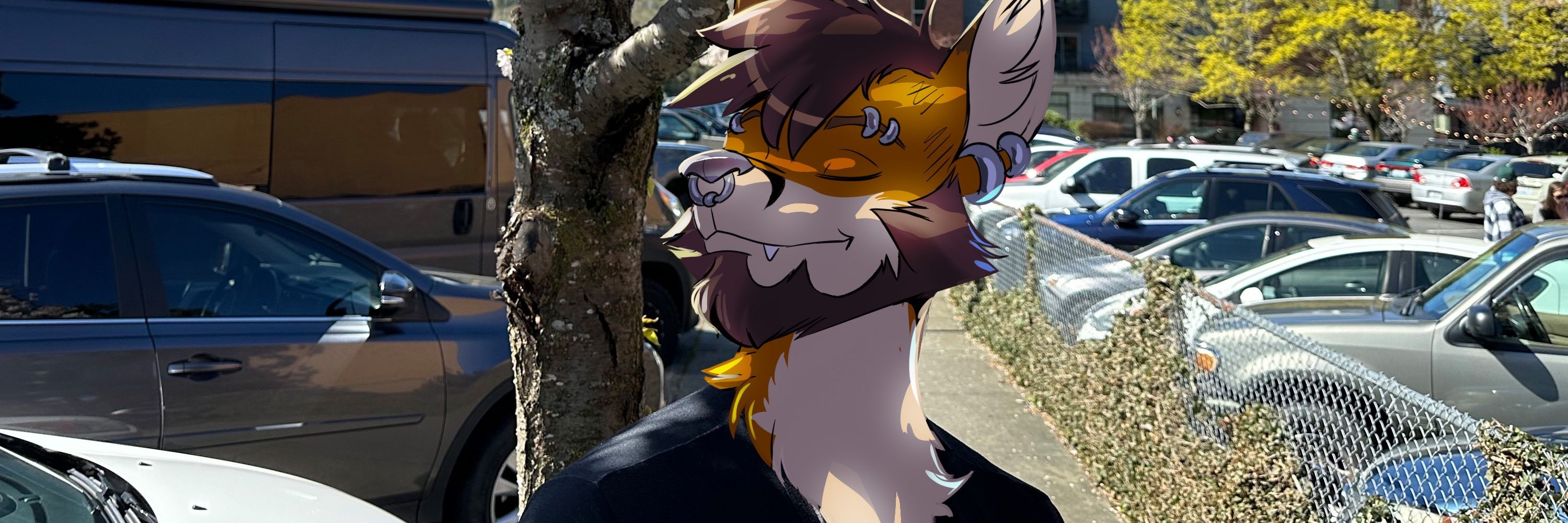 Donryu 