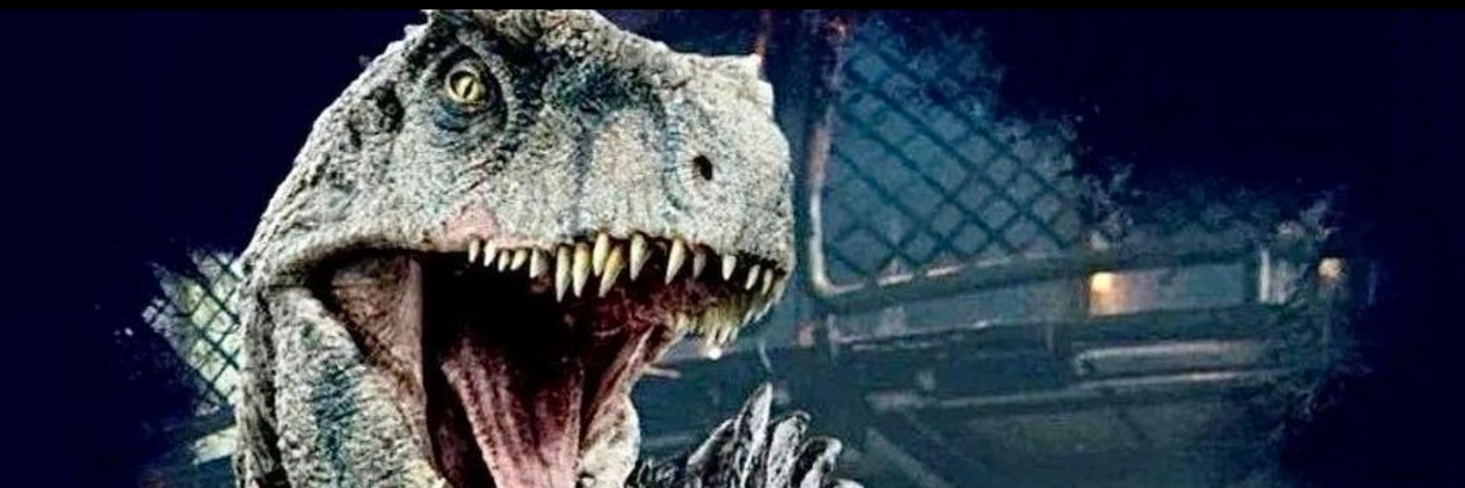  🦖 💚King zeb 🐊💚