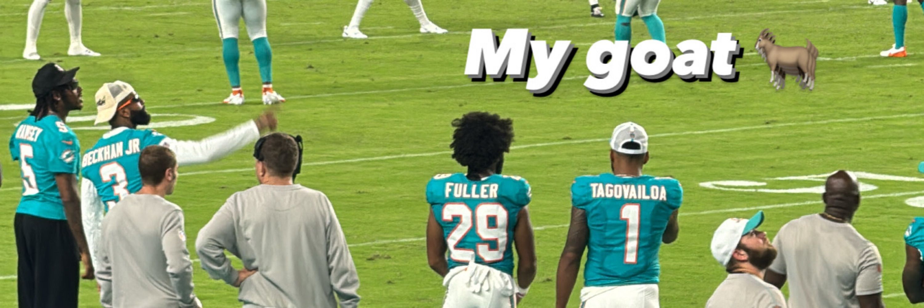 the Dolphins HATE their fans | FIRE GRIER