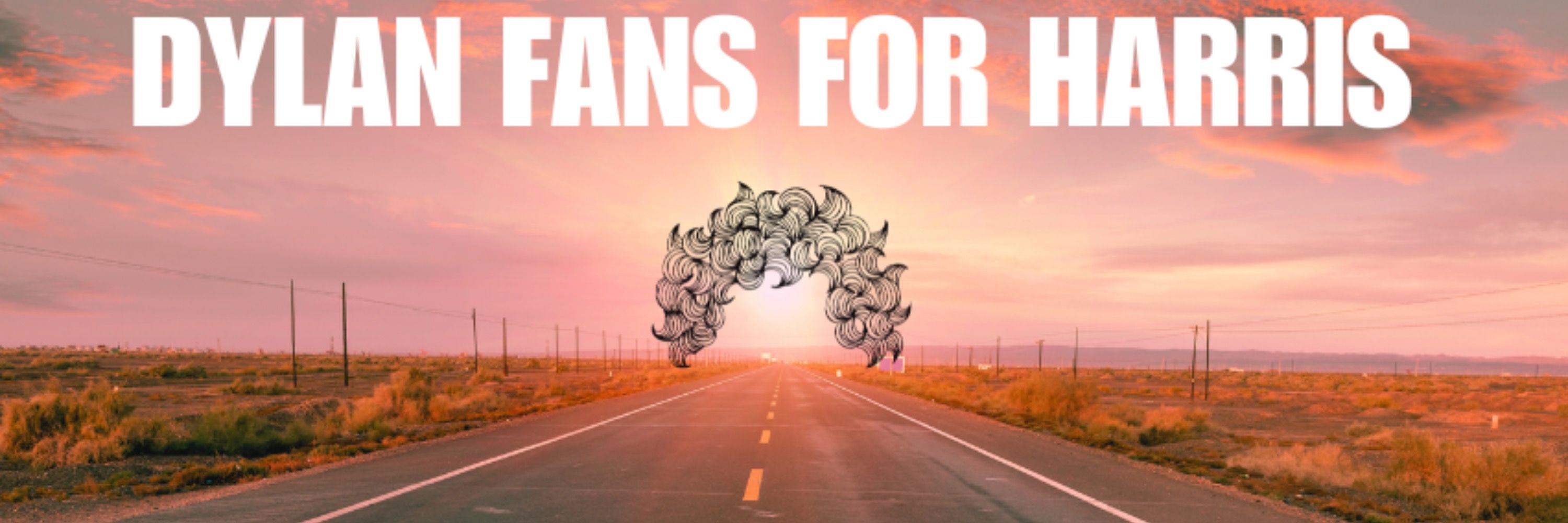 Dylan Fans for Harris
