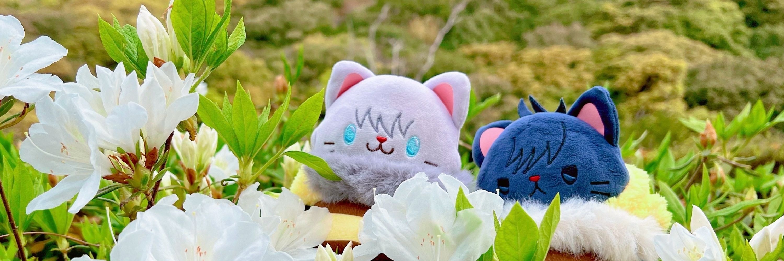 ぐあ