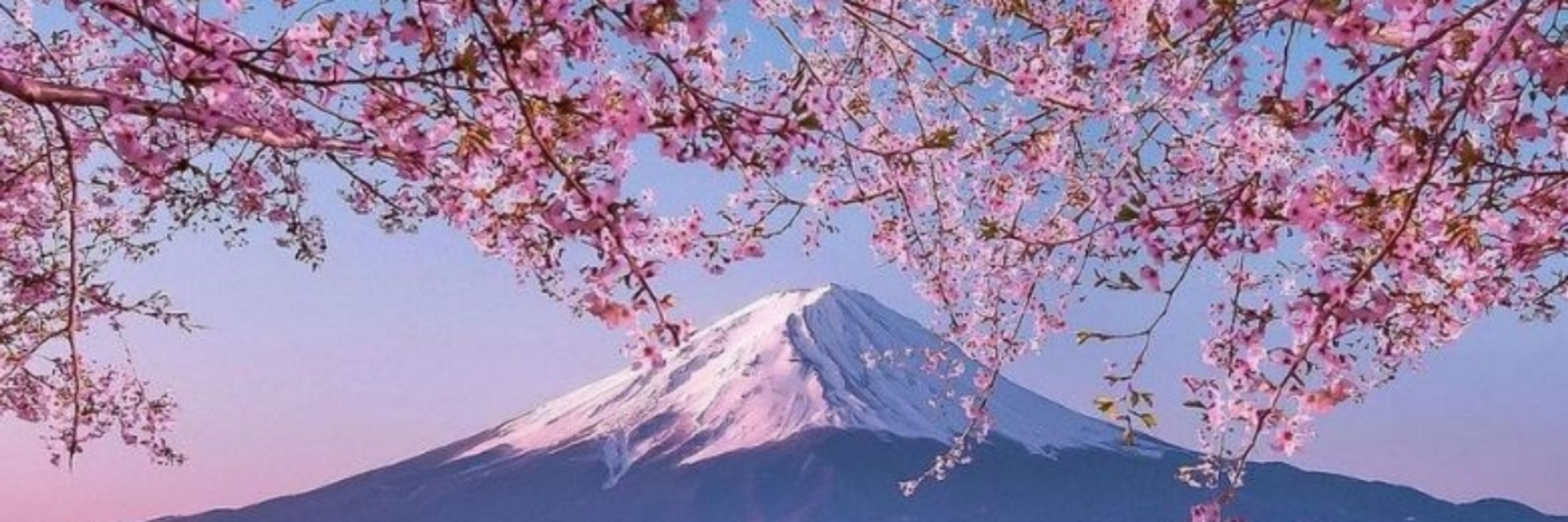 🌺𝔸𝕝𝕖𝕩𝕚𝕤 ℙ𝕒𝕣𝕜𝕖𝕣🌺