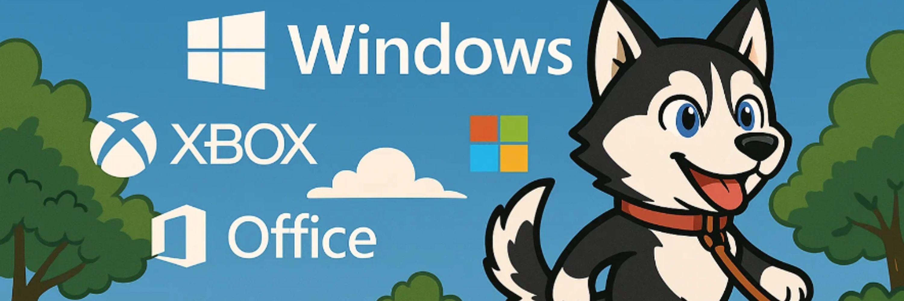 WinDiscover