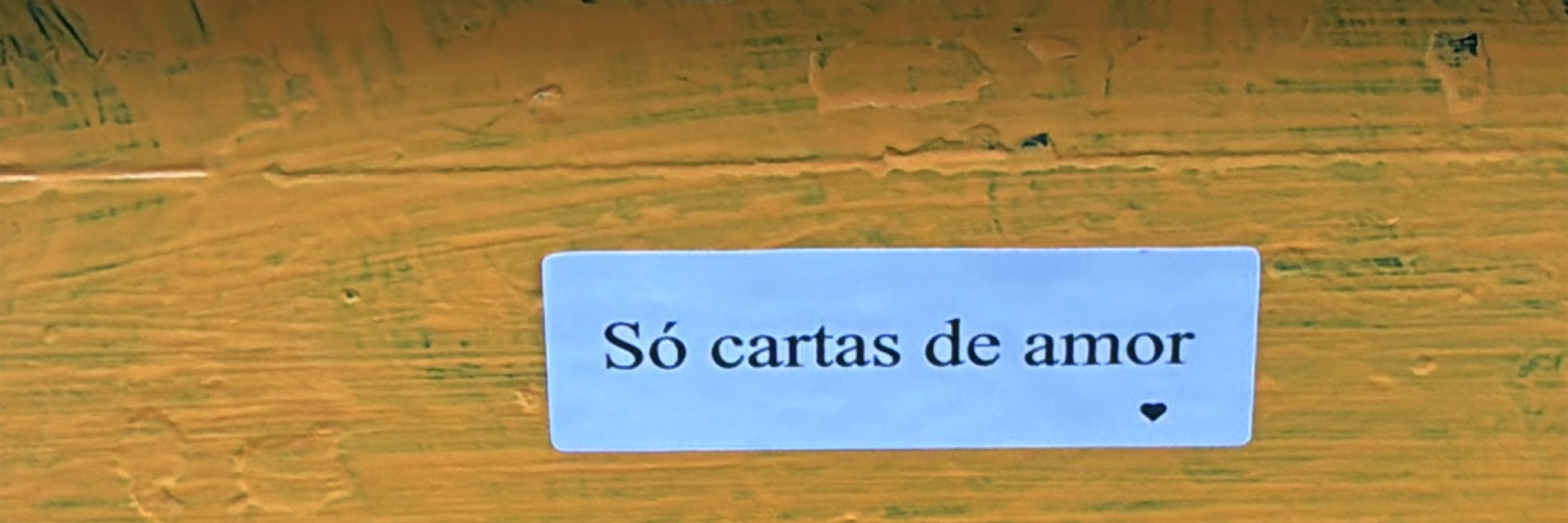sara plaza serna