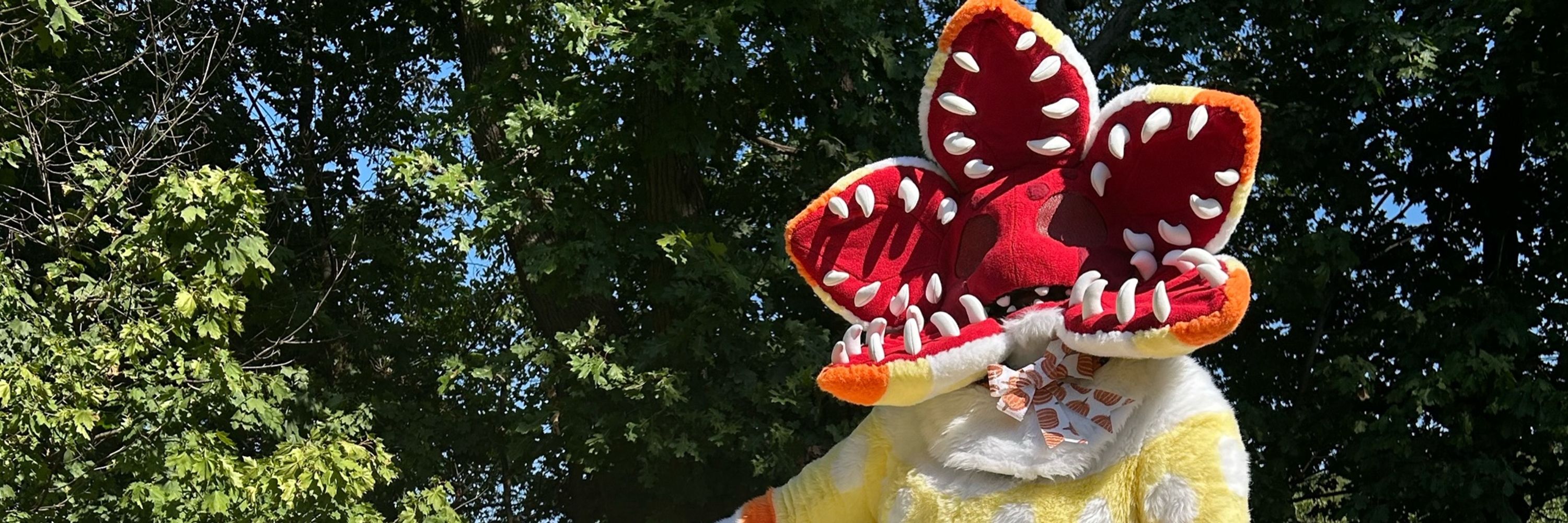 Piñata🌼