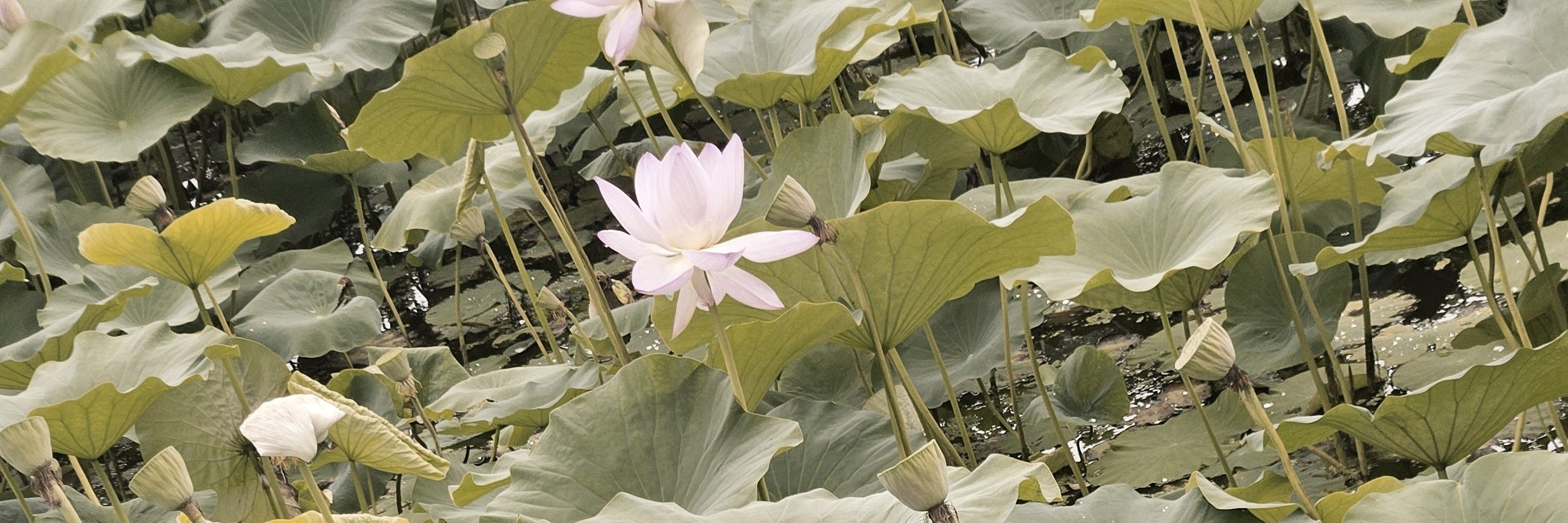 마감