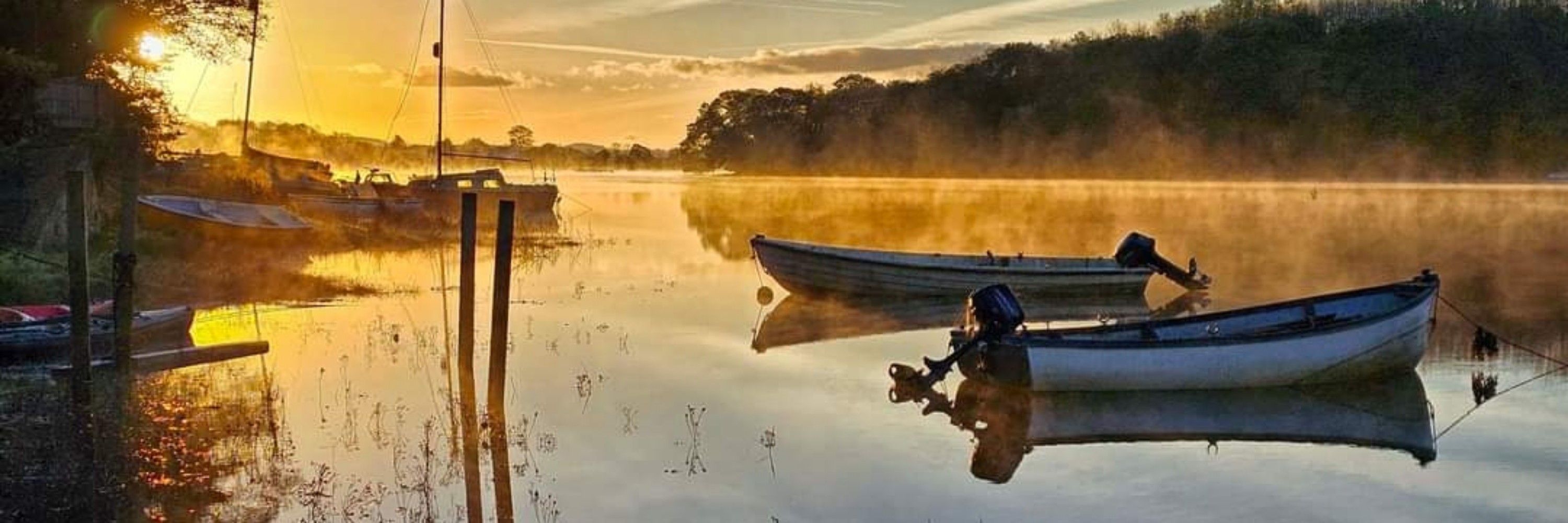 Andy Woolmer