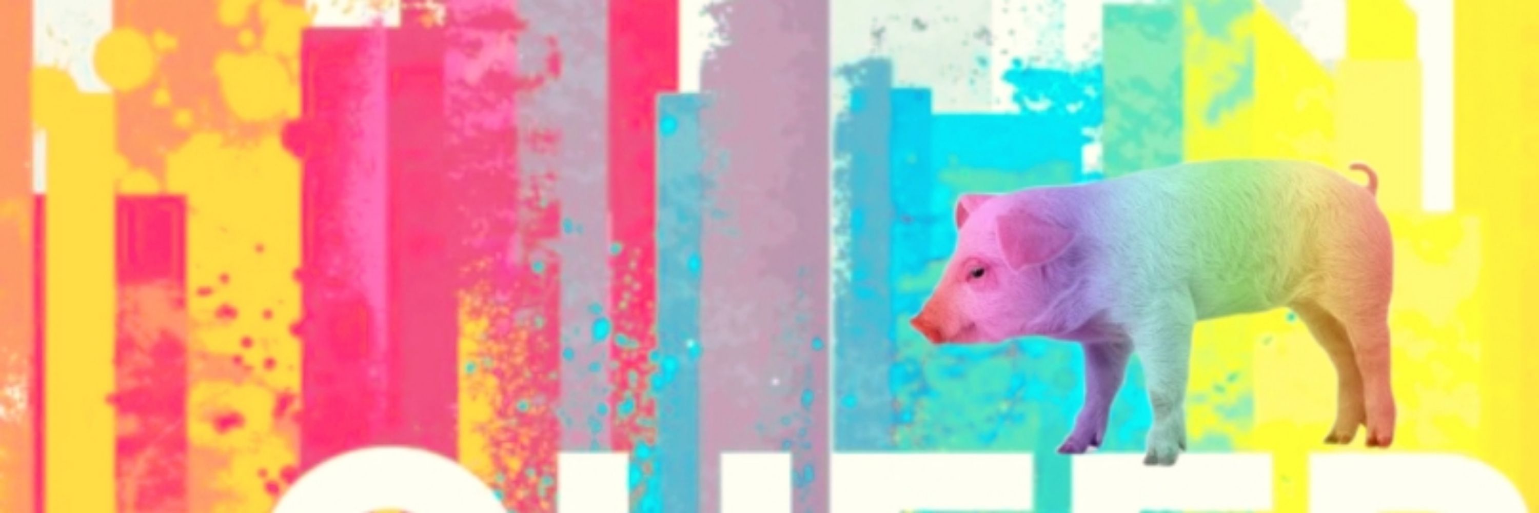 Chris P B Acon