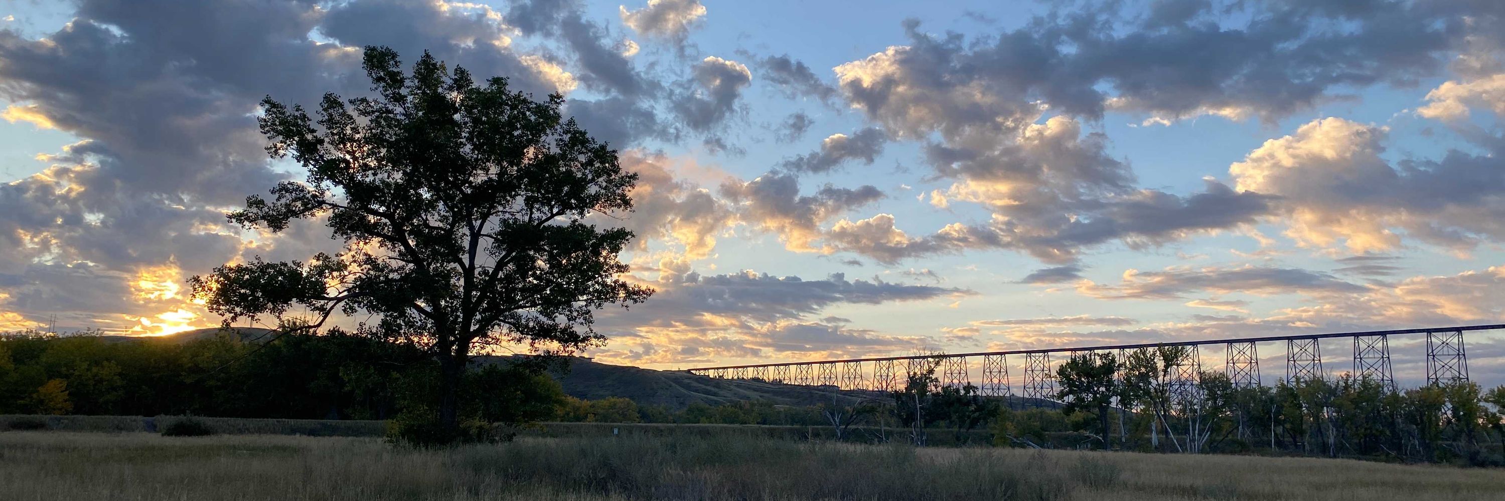 Environment Lethbridge