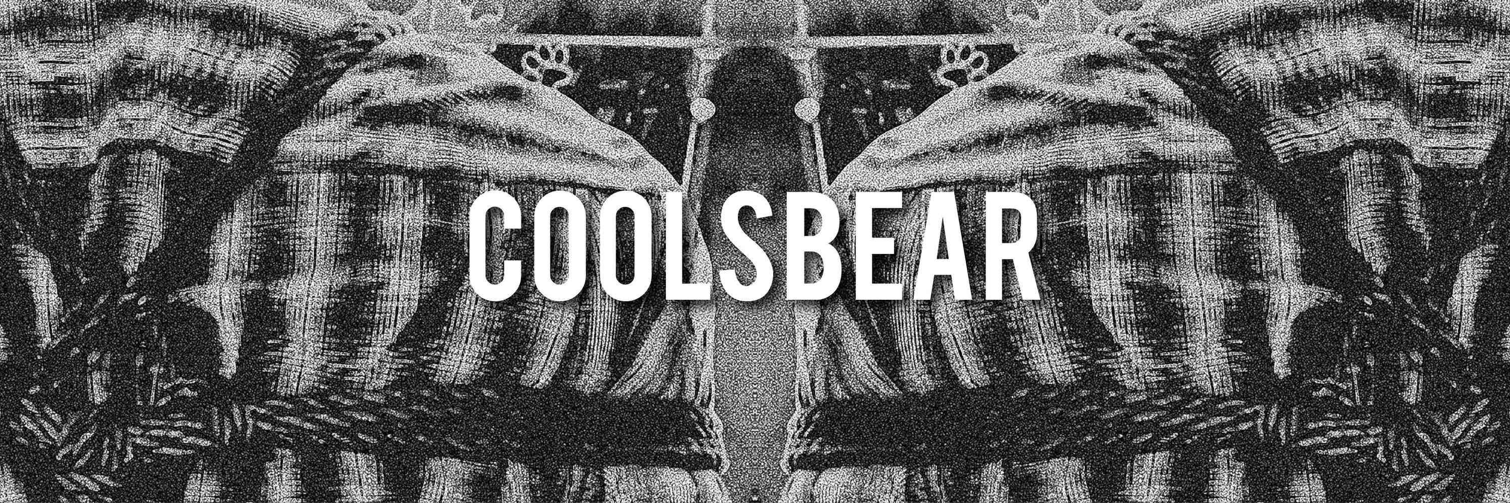 CoolSBear 🐻‍❄️