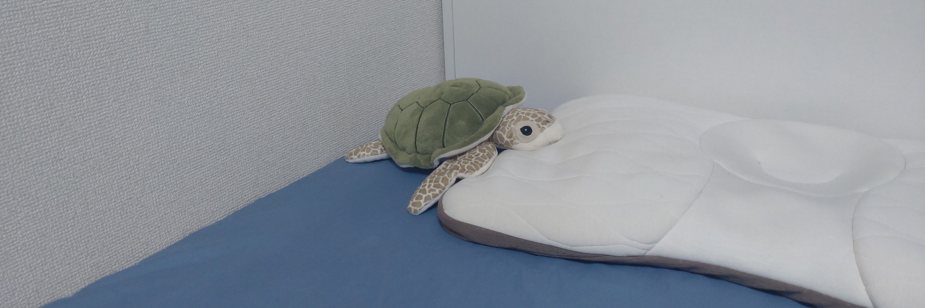 きむらくん