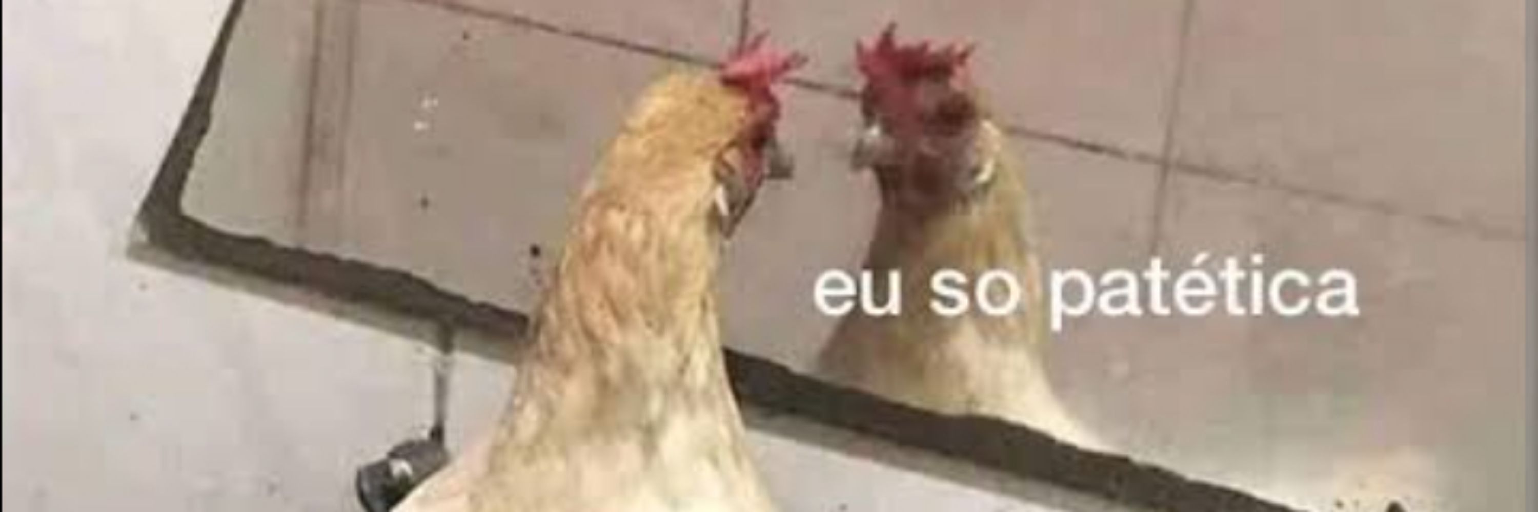 Leticia