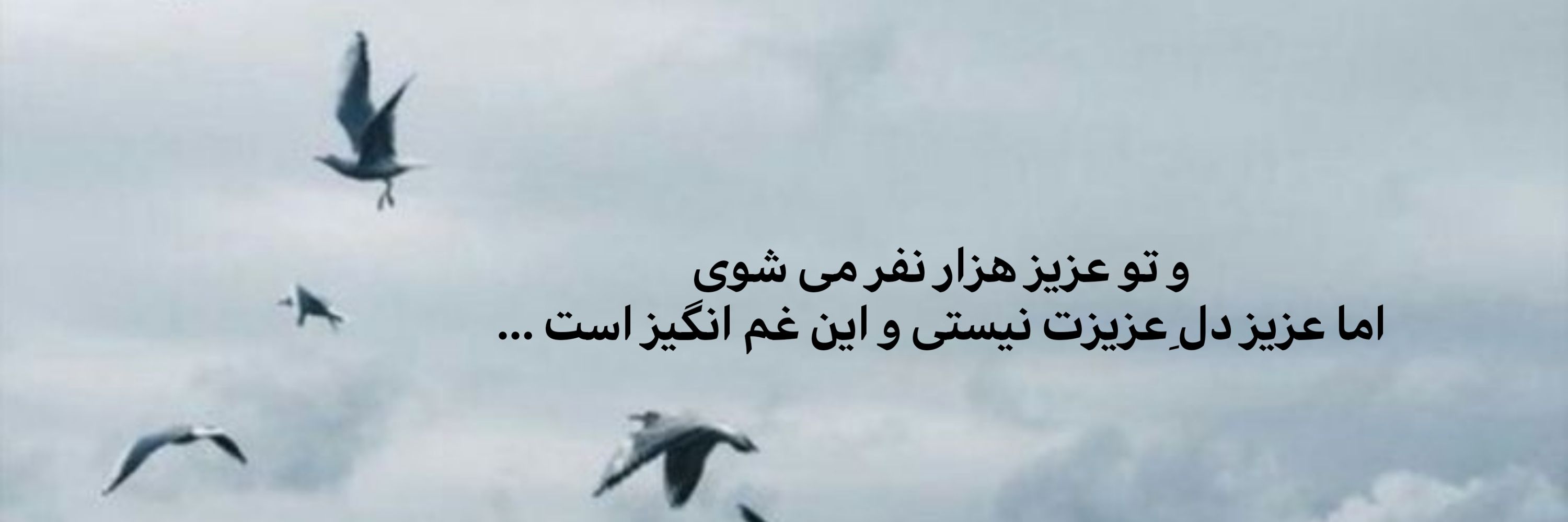 🪽وَهــــــــــــــم‏