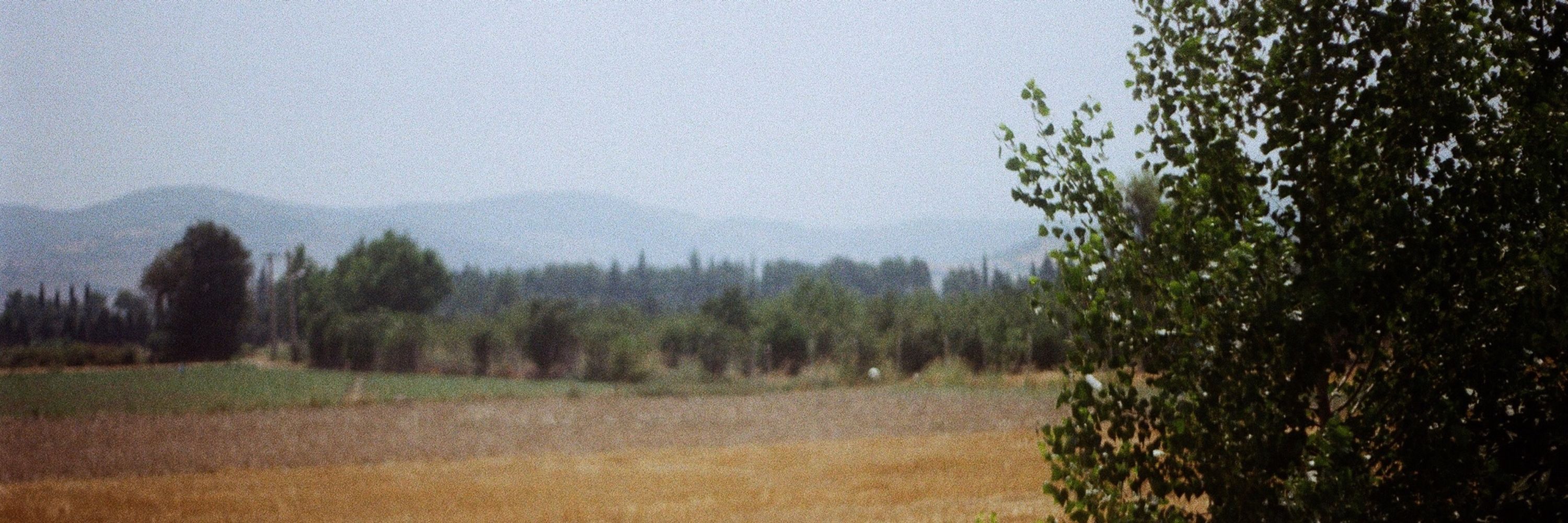 Kianoosh Yasaei  کیانوش یاسایی