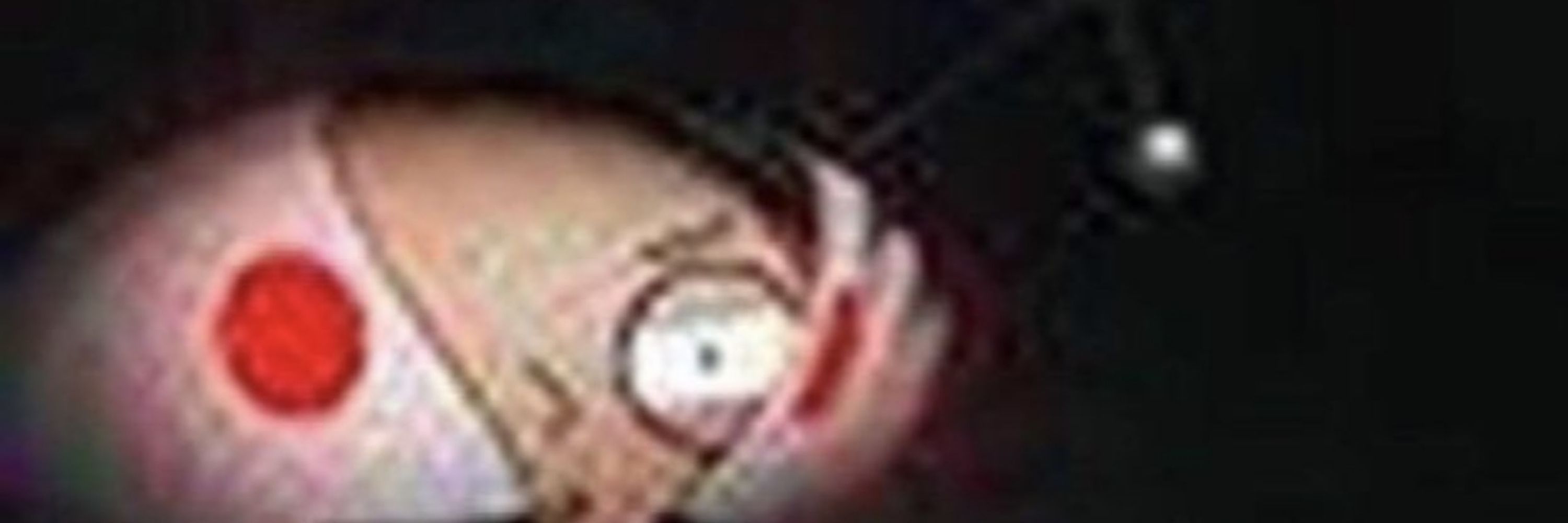 beans