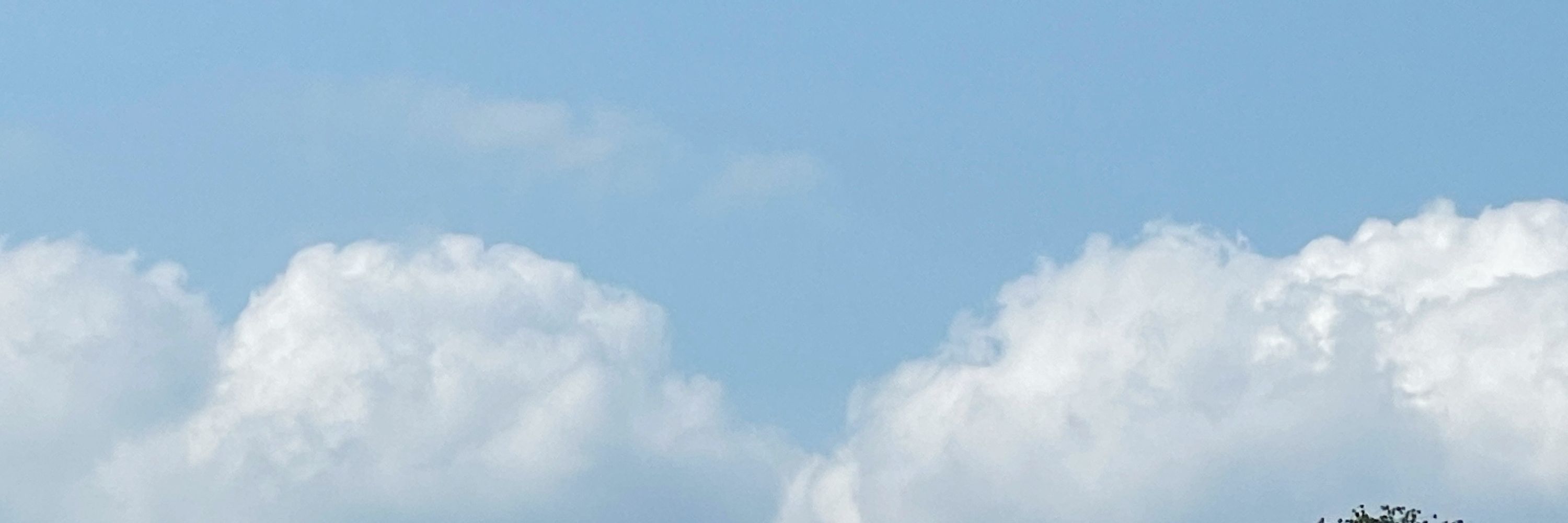 하여튼