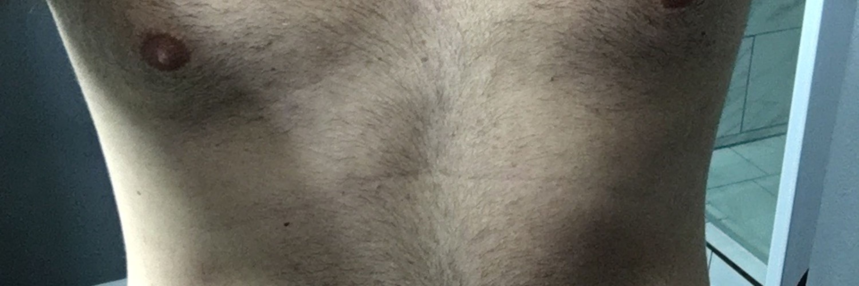 Into2Bears