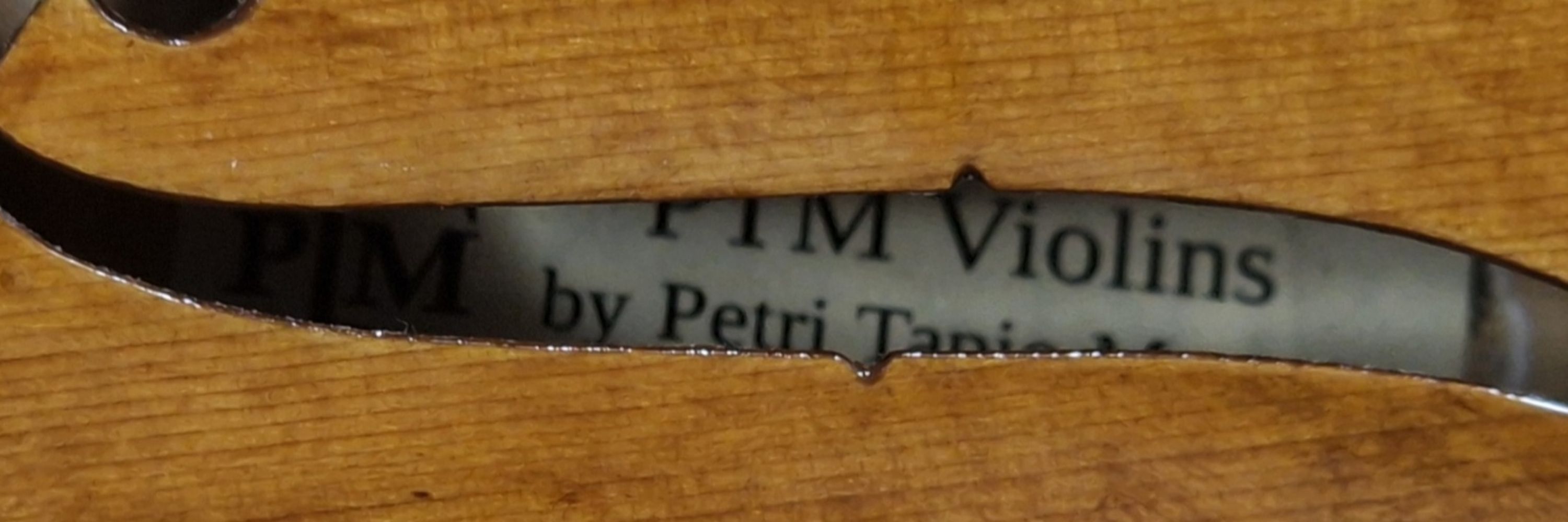 Petri Tapio Mattson