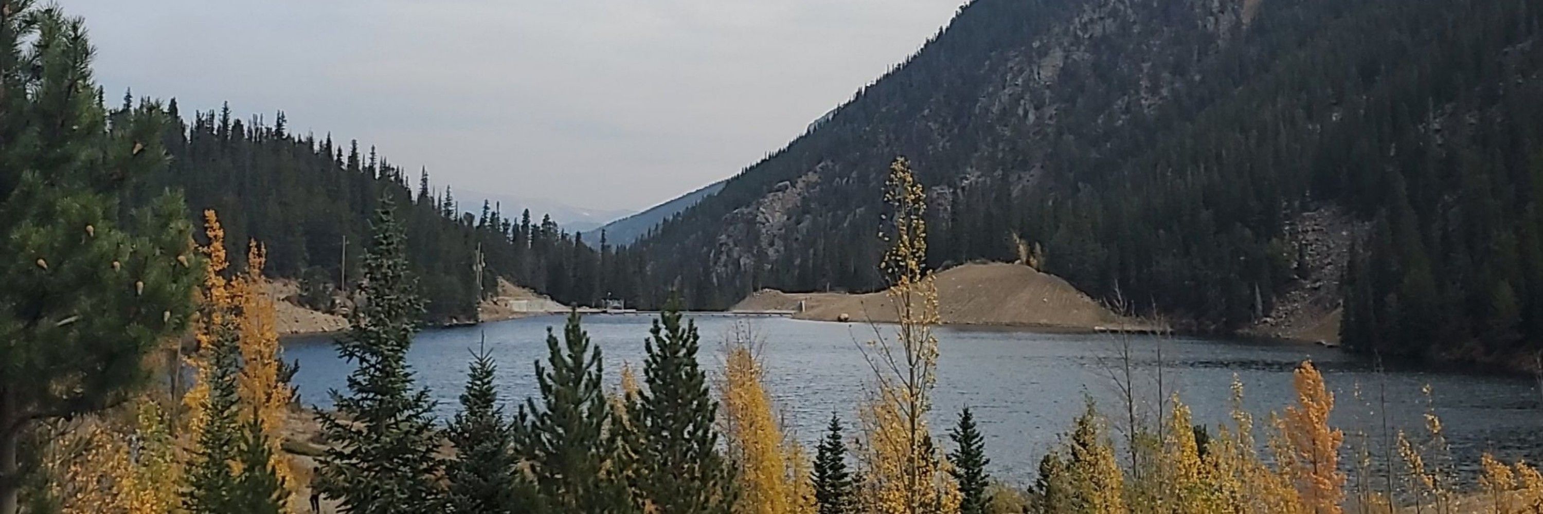 Tara