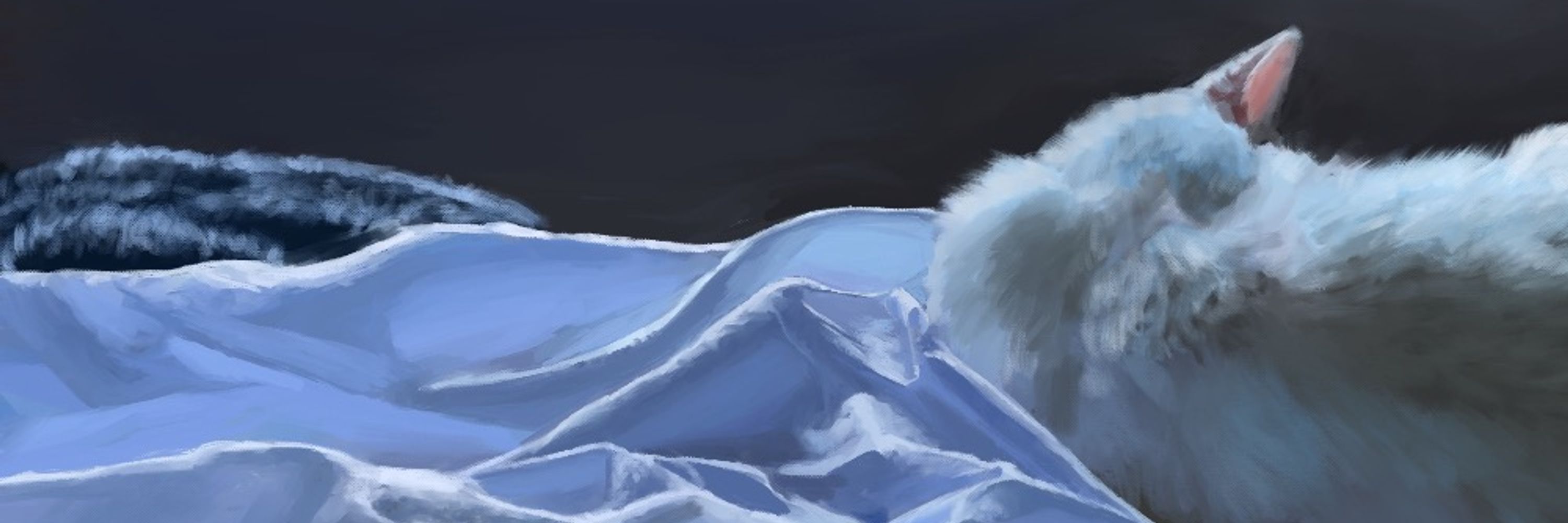 Khamdoggo