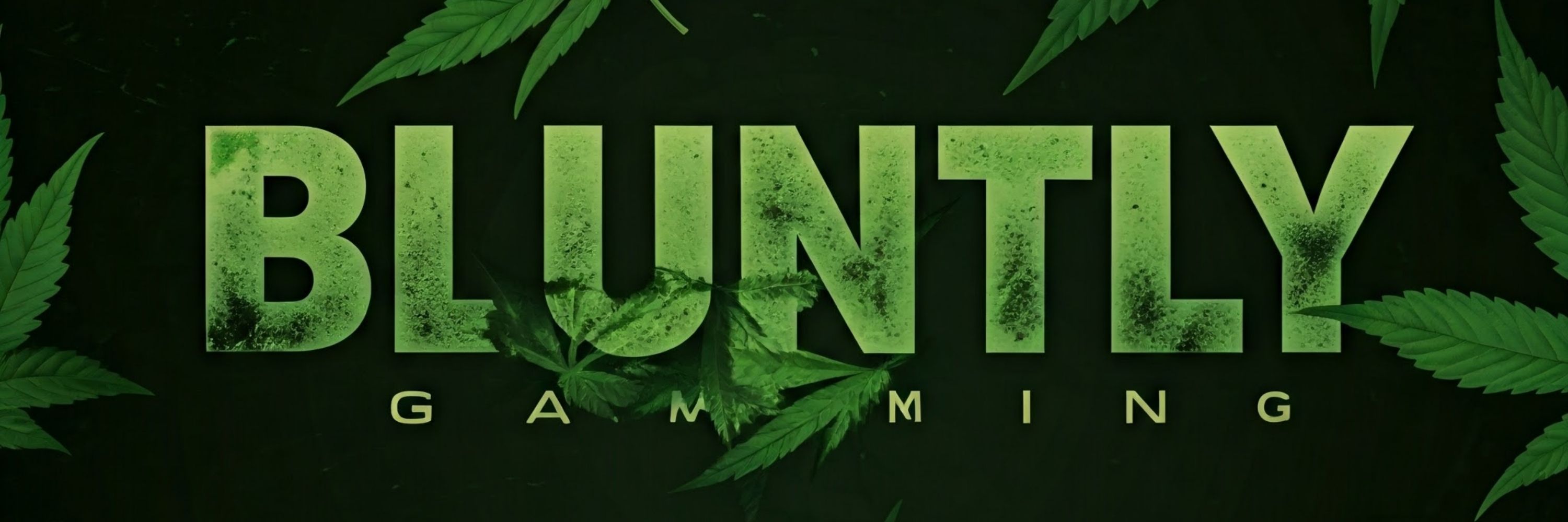 Taylor ✨️💚 Bluntly_gaming💚