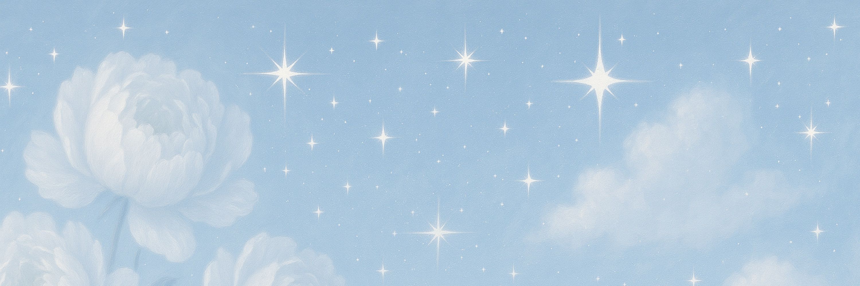 𝑺𝒕𝒂𝒓𝒓𝒚 .𖥔 ݁˖ ♡