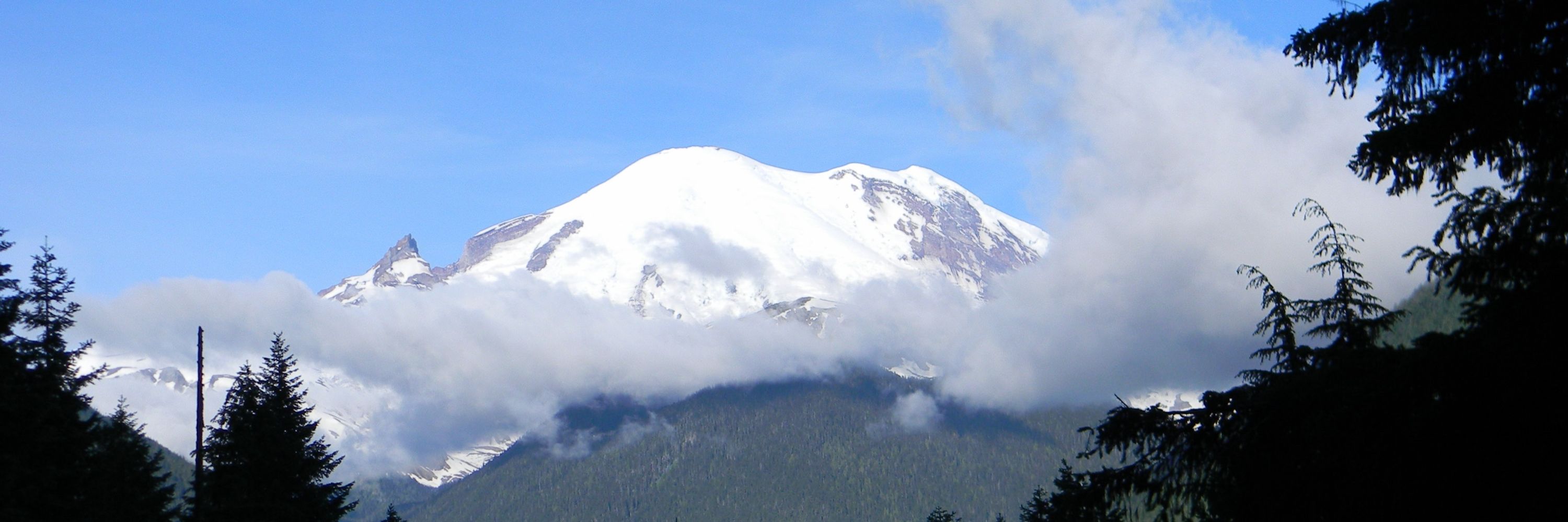 LH