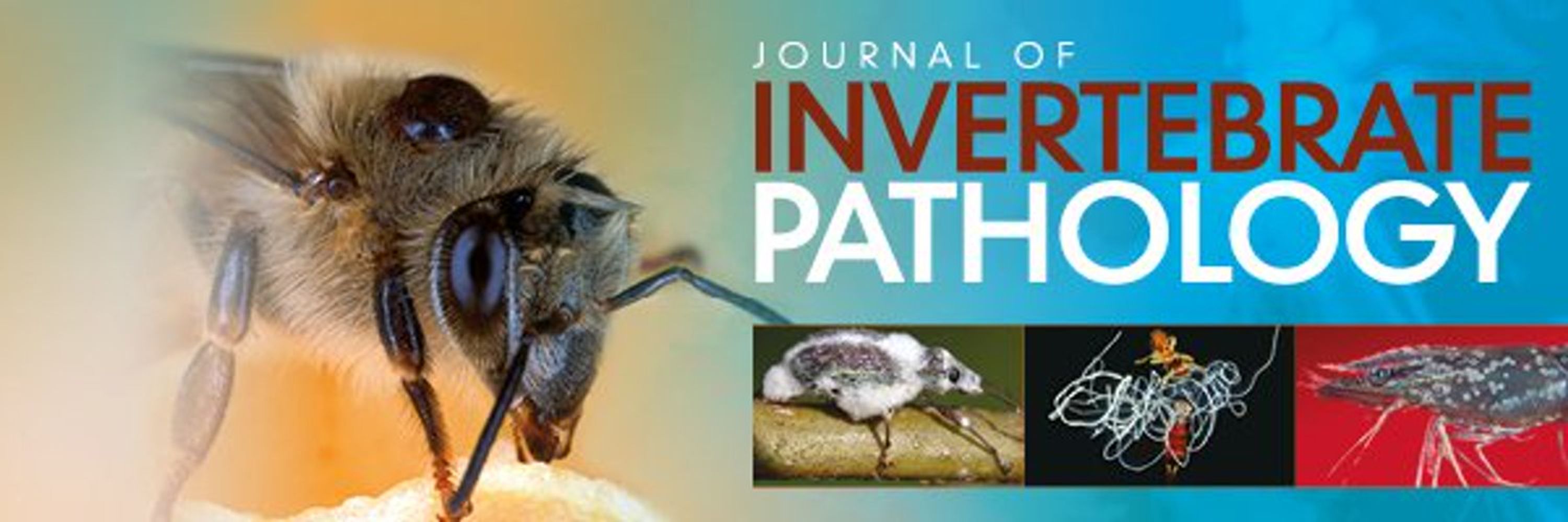 The Journal of Invertebrate Pathology (ELS)