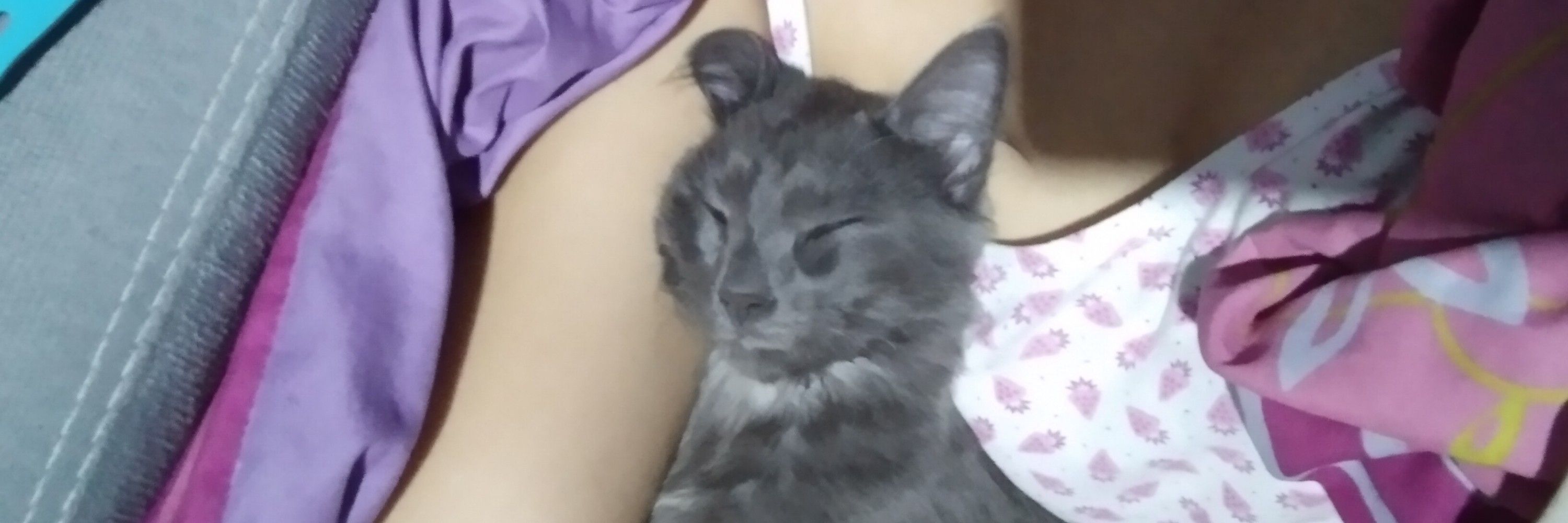 Maa Castro
