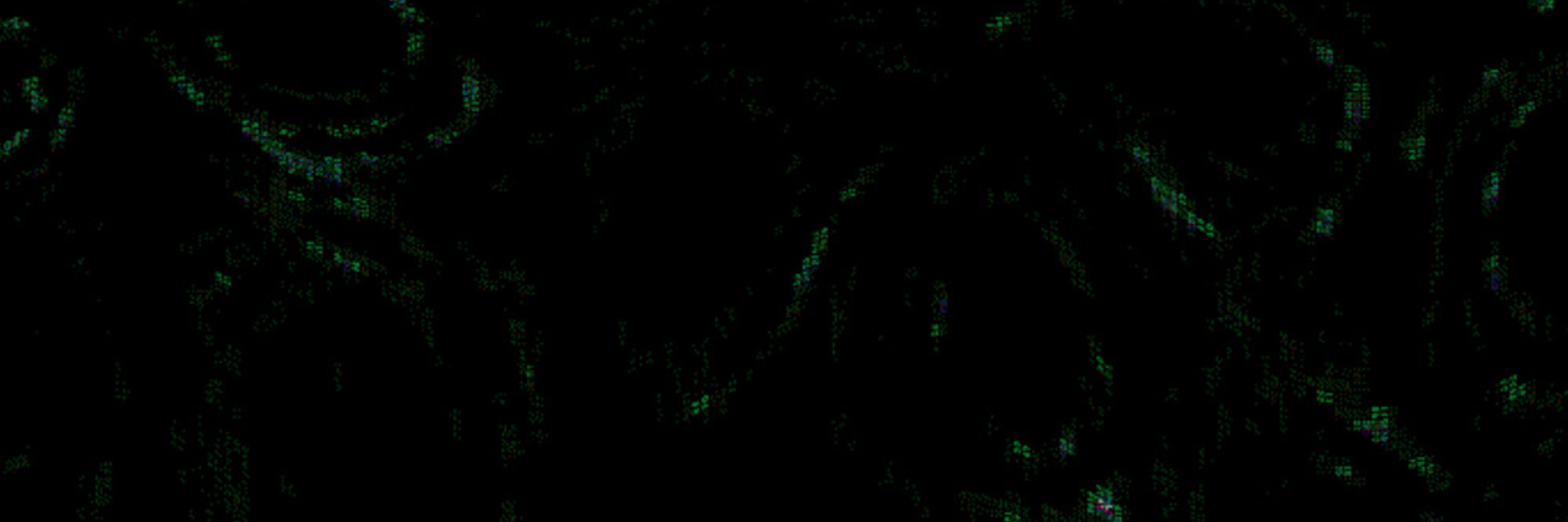 Y2F0