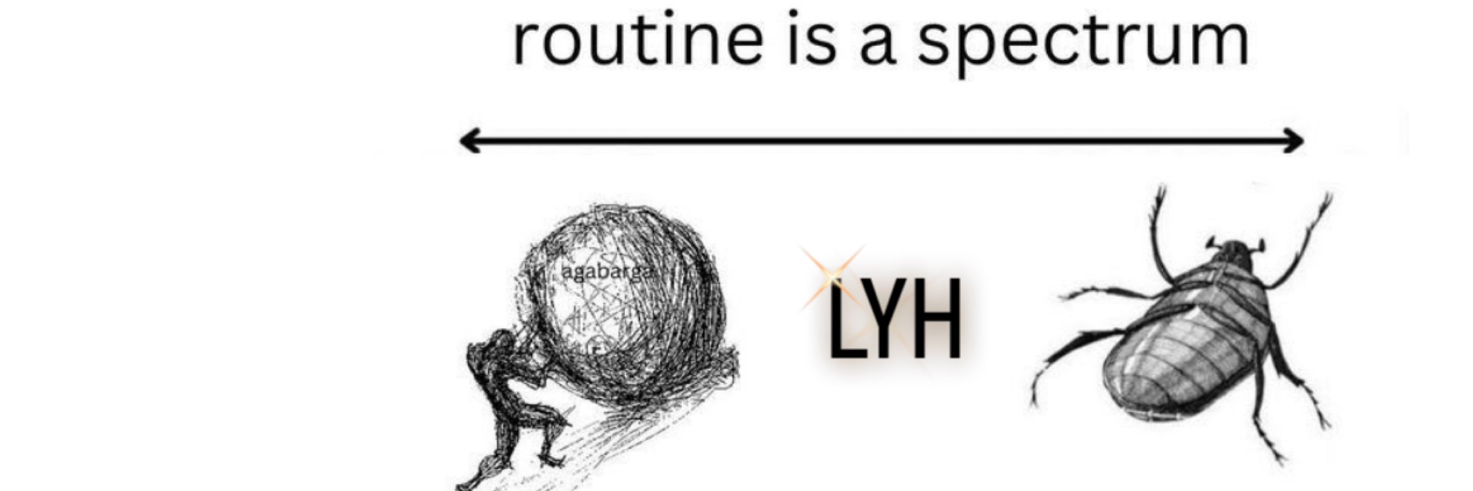 lyh