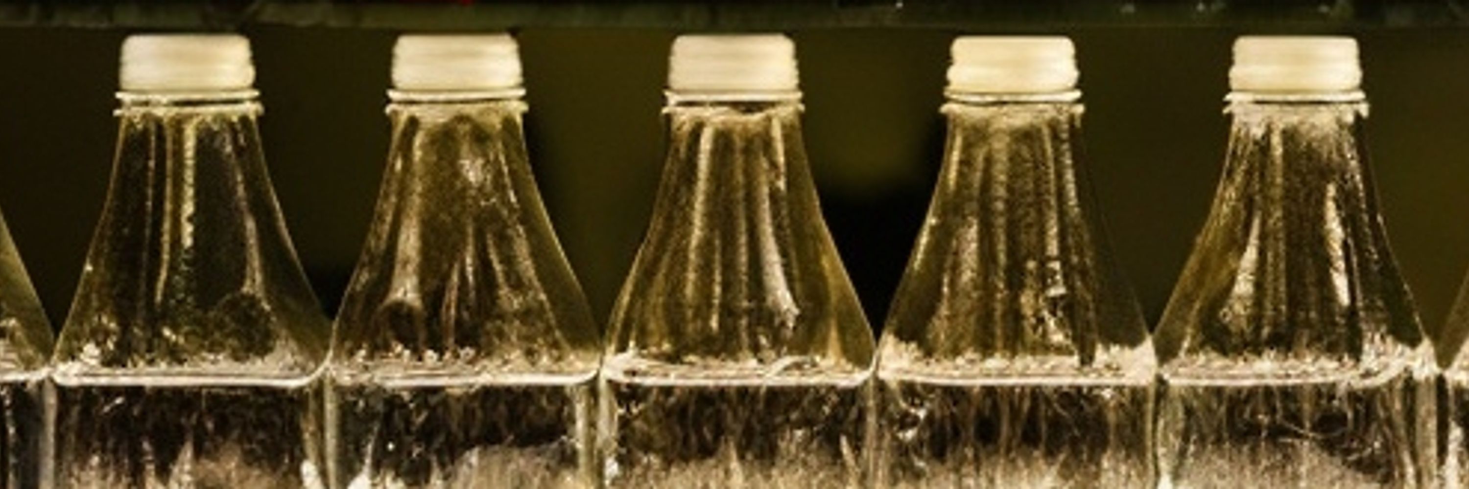 Reviewing soda and discussing the bubbly sweet elixir of life 